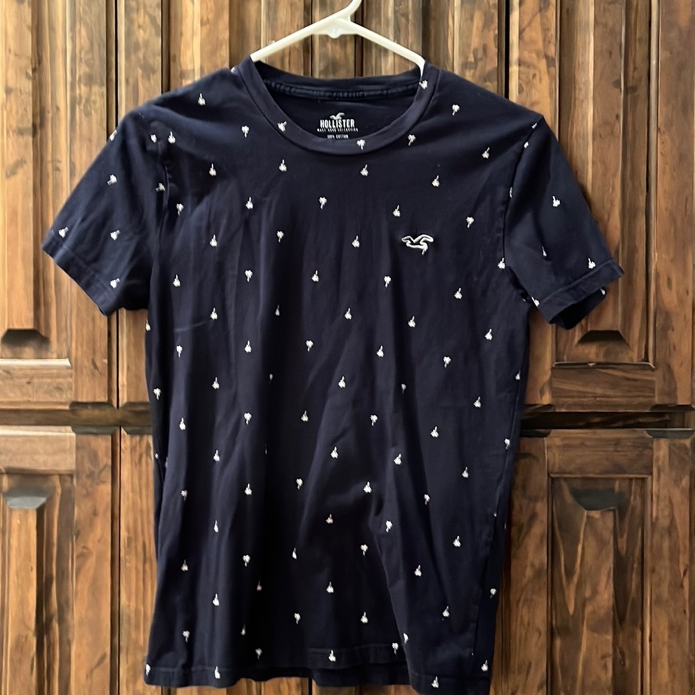 Hollister men t shirt